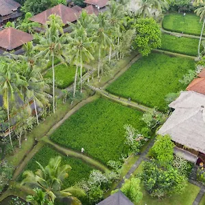 https://ananda-cottages-ubud-bali.ubudhotelsnow.com